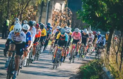 米兰体育官方网站入口 - AC Milan Sports